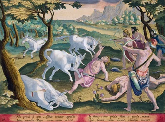 Einhörner am Ufer des Indus, gejagt mit Erlaubnis des Königs, Tafel 29 aus 